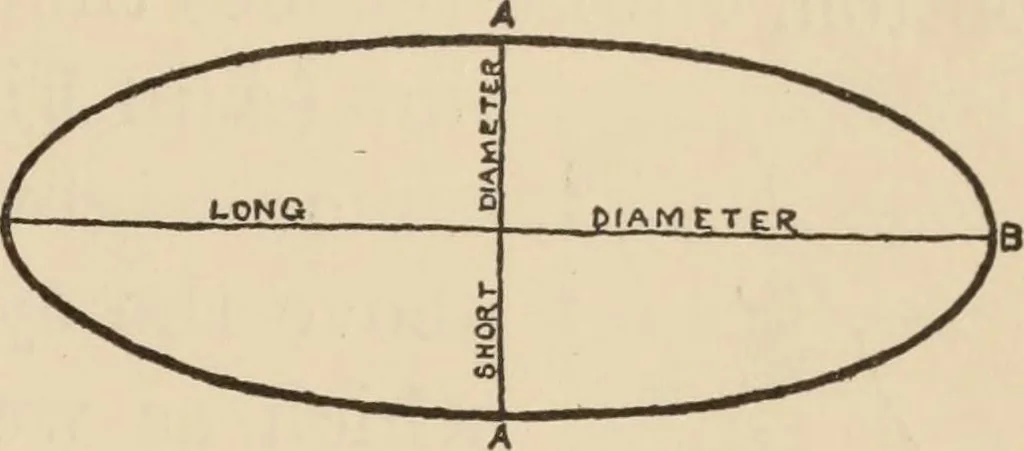 An illustration from Freehand perspective and sketching; principles and methods of expression in the pictorial representation of common objects, interiors, buildings and landscapes, 1910, leaf 26