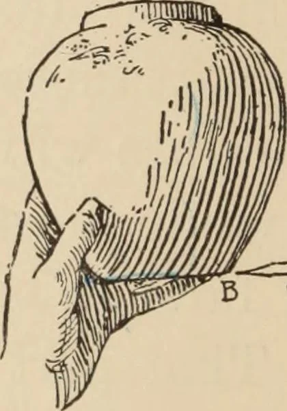 An illustration from Freehand perspective and sketching; principles and methods of expression in the pictorial representation of common objects, interiors, buildings and landscapes, 1910, leaf 33
