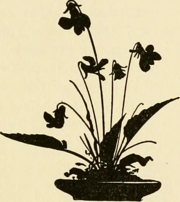 An illustration from Freemasonry in Northumberland, 1911, leaf 352