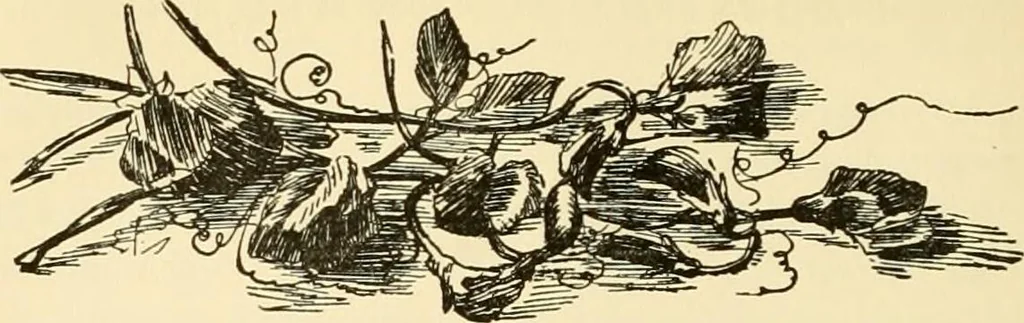 An illustration from Freemasonry in Northumberland, 1911, leaf 353