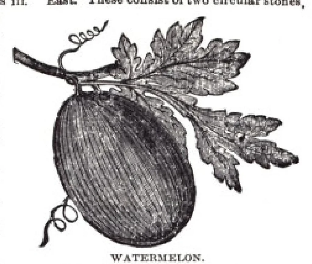 An illustration from FREEMASONS BIBLE, 1611, leaf 932