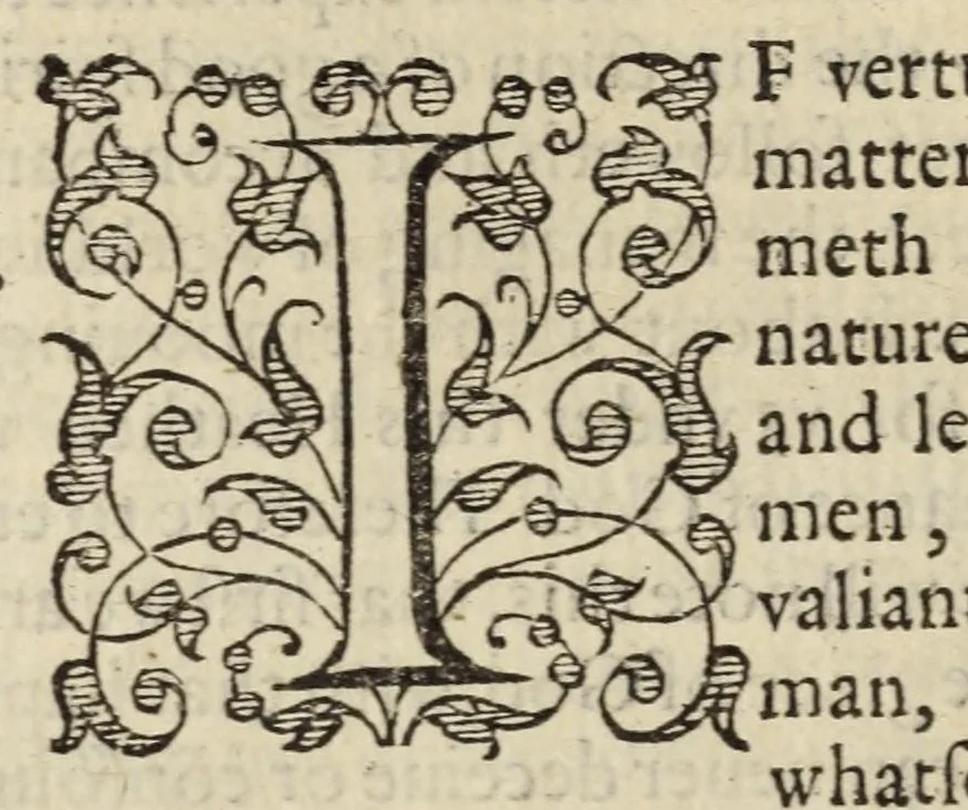 An illustration from The French academie : wherin is discoursed the institution of maners, and whatsoeuer els concerneth the good and happie life of all estates and callings, by preceptes of doctrine, and examples of the liues of ancient sages and famous men, 1586, leaf 342