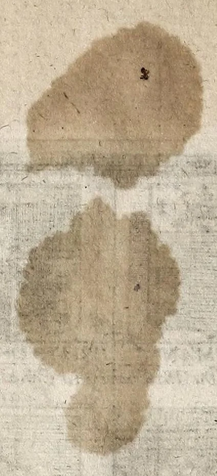 An illustration from [French armorial of the mid 17th century], 1638, leaf 50