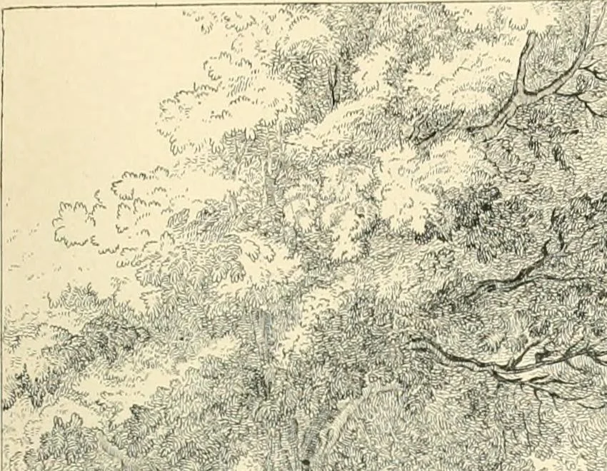 An illustration from French engravers and draughtsmen of the XVIIIth century, 1902, leaf 301