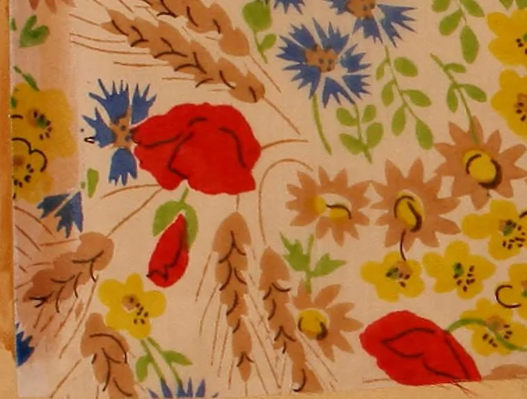 An illustration from [French fabric sample book, 1900, leaf 163