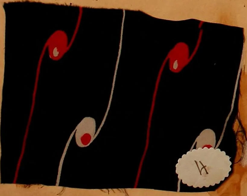 An illustration from [French fabric sample book, 1900, leaf 63