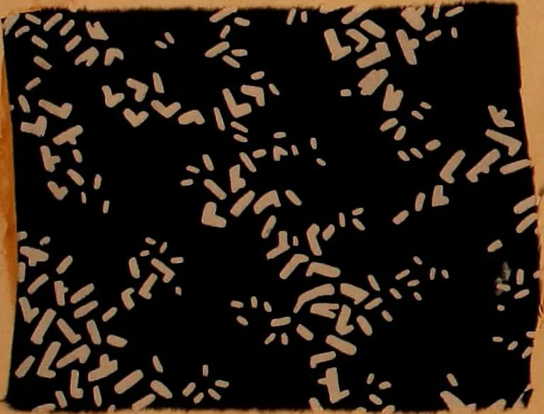 An illustration from [French fabric sample book, 1900, leaf 93