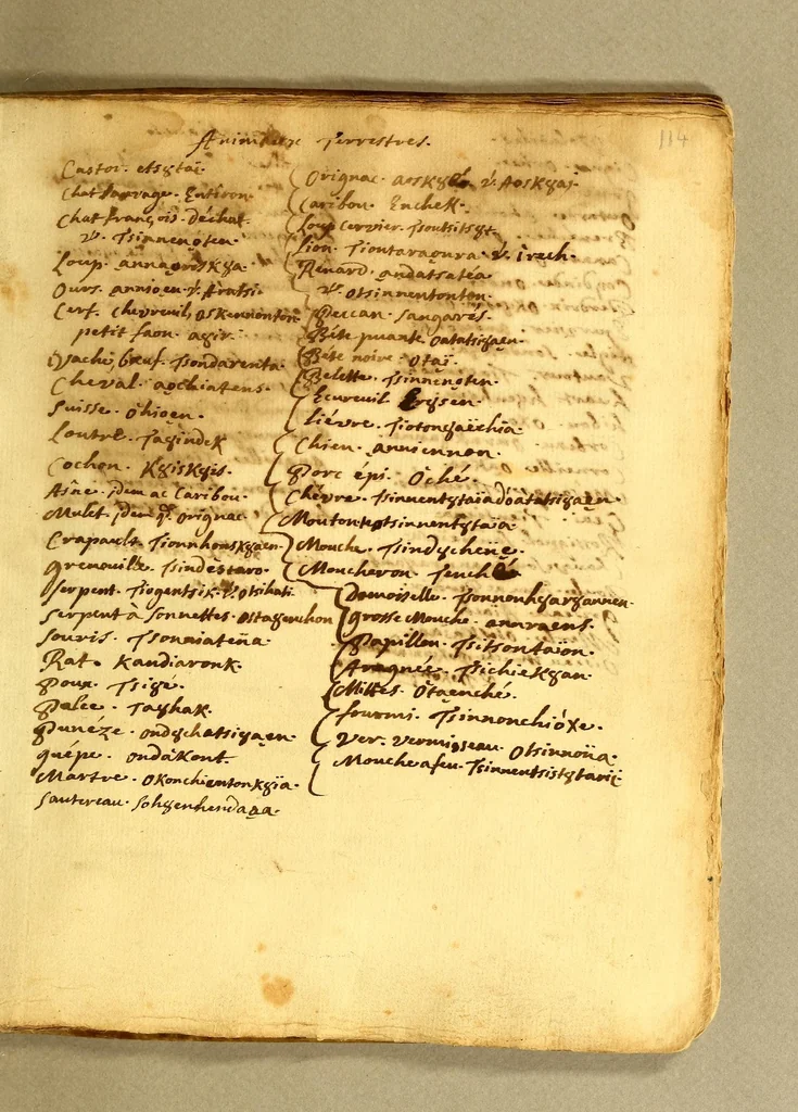 An illustration from [French-Huron dictionary and vocabulary], 1640, leaf 233