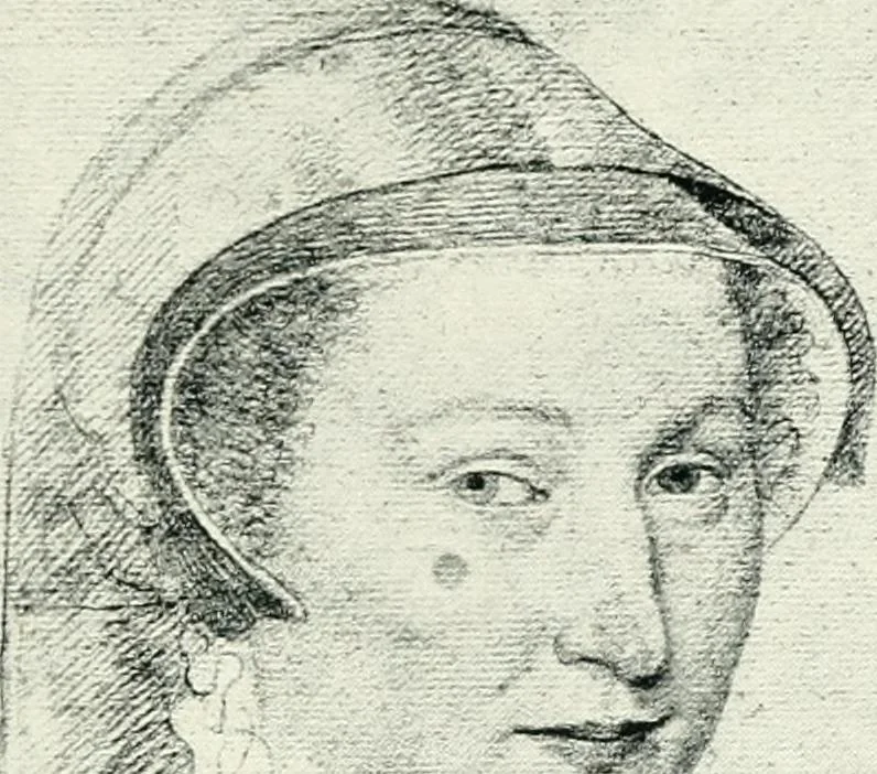 An illustration from French painting in the sixteenth century, 1904, leaf 185