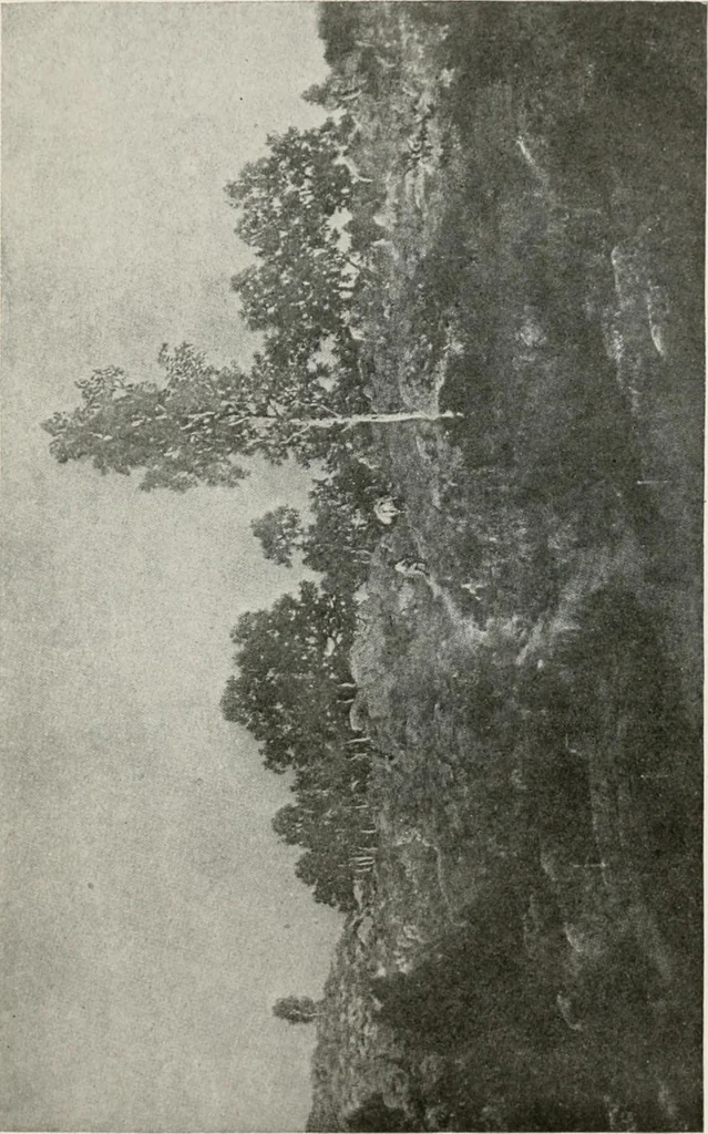 An illustration from French pictures and their painters, 1922, leaf 241