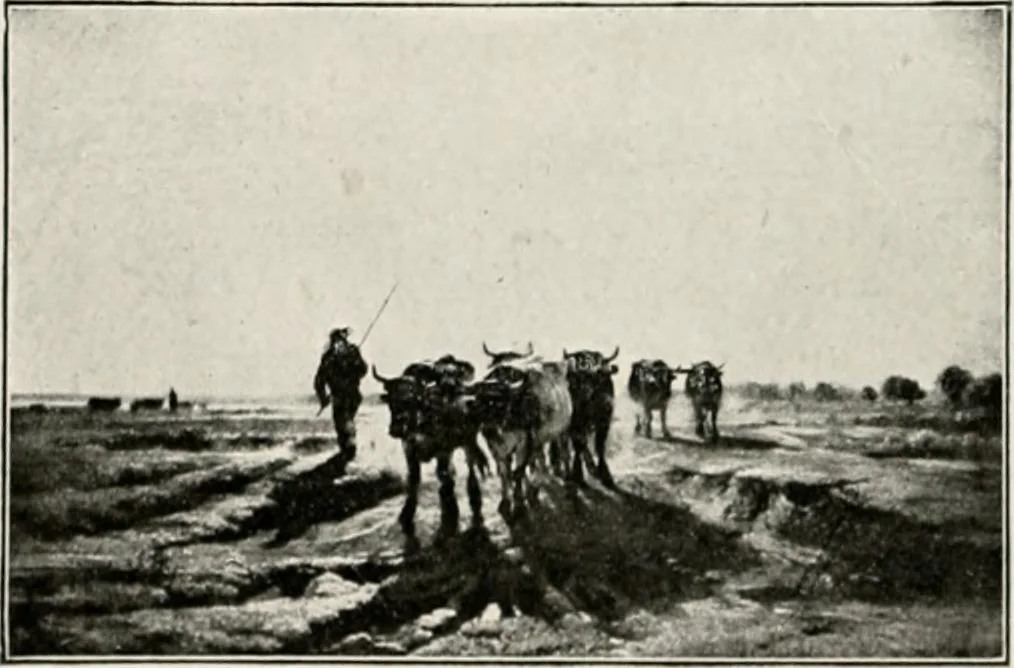 An illustration from French pictures and their painters, 1922, leaf 258