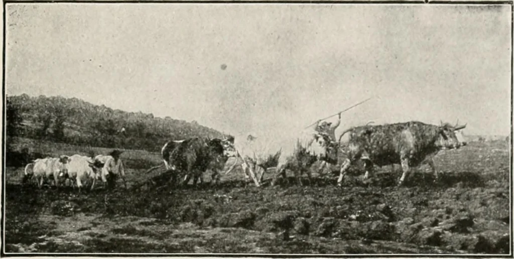 An illustration from French pictures and their painters, 1922, leaf 363