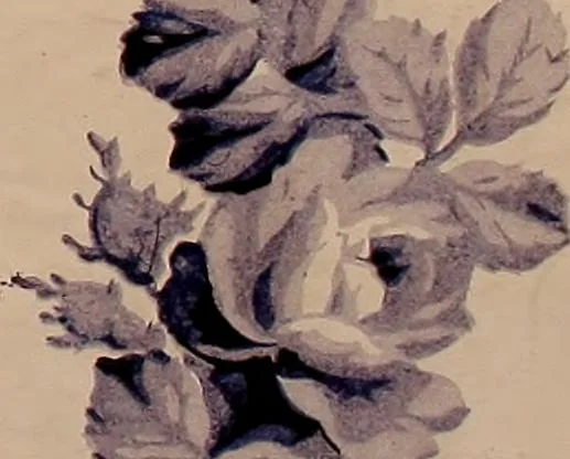 An illustration from [French textiles], 1863, leaf 146