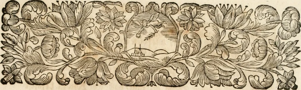 An illustration from Freuden-Bezeugung der Stadt Dantzig : über die höchst-erwünschte königliche Wahl und darauf glücklich-erfolgte Krönung des durchläuchtigsten, grossmächtigsten Fürsten und Herrn, Herrn Augusti des Andern, Königes in Pohlen ... : wobey höchst-gedachter Majestät königlicher Einzug in besagte Stadt, die daselbst aufgerichtete Ehre-Pforten, Huldigungs-Actus, gehaltenes Feuerwerck, und was sonsten denckwürdiges vorgefallen, biss an Dero Königlichen Abzug, wahrhafftig beschrieben, und alles in schönen Kupfferen repraesentiret wird, 1698, leaf 14