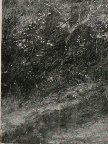 An illustration from Group of twenty-four paintings of the French, Spanish, German and American schools [electronic resource], 1908, leaf 54