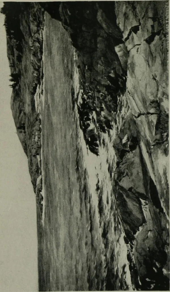 An illustration from Catalogue of paintings, etchings, engravings and sculpture [electronic resource] \, 1907, leaf 30