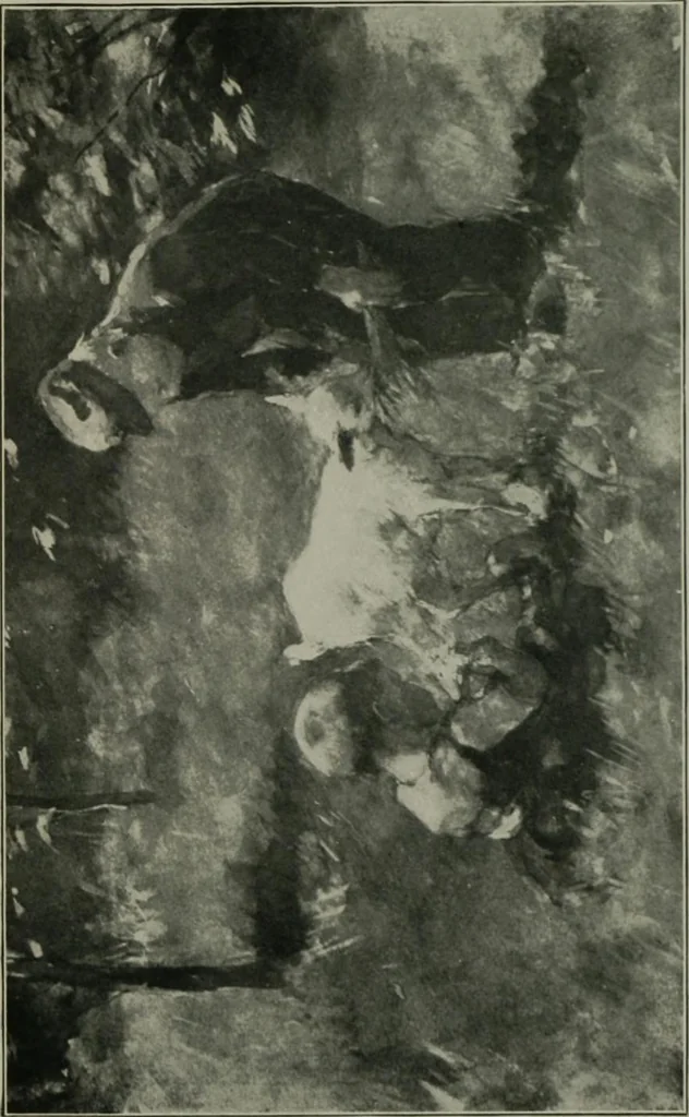 An illustration from Catalogue of paintings, etchings, engravings and sculpture [electronic resource] \, 1907, leaf 68