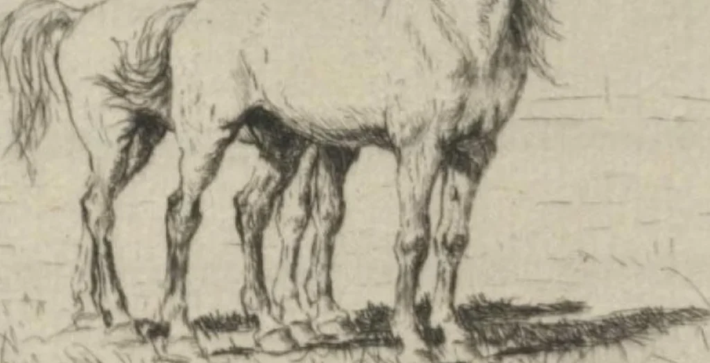 An illustration from Catalogue of the etched work of Evert van Muyden [electronic resource], 1894, leaf 122