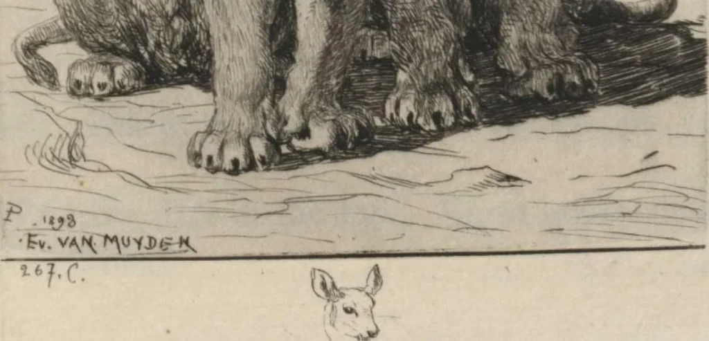 An illustration from Catalogue of the etched work of Evert van Muyden [electronic resource], 1894, leaf 133