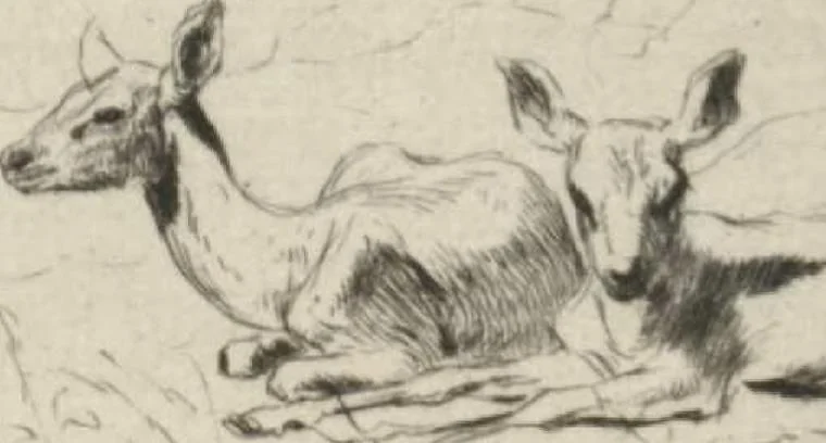 An illustration from Catalogue of the etched work of Evert van Muyden [electronic resource], 1894, leaf 64
