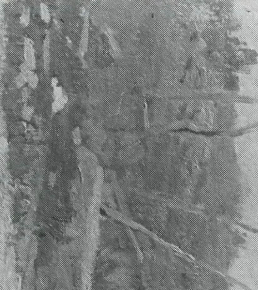 An illustration from A group of paintings by Murphy, Tryon, Walker and Wyant [electronic resource], 1918, leaf 53