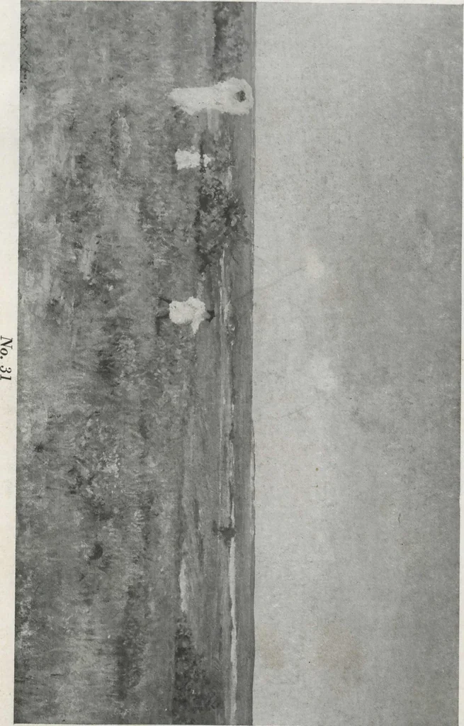An illustration from A group of paintings by Murphy, Tryon, Walker and Wyant [electronic resource], 1918, leaf 65