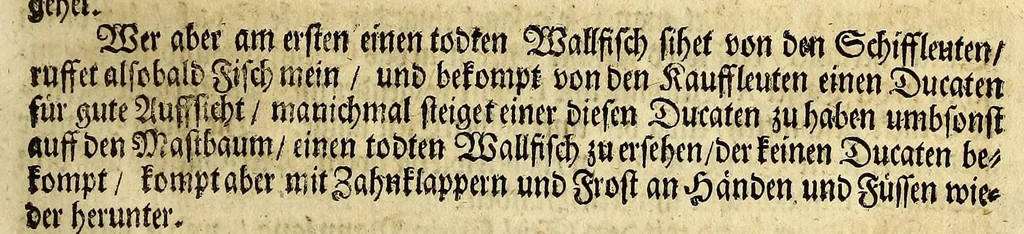 An illustration from Friderich Martens vom Hamburg Spitzbergische oder groenlandische Reise Beschreibung gethan im Jahr 1671. : Aus eigner Erfahrunge beschrieben, die dazu erforderte Figuren nach dem Leben selbst abgerissen, (so hierbey in Kupfferzusehen) und jetzo durch den Druck mitgetheilet, 1675, leaf 131