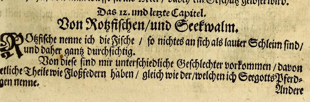 An illustration from Friderich Martens vom Hamburg Spitzbergische oder groenlandische Reise Beschreibung gethan im Jahr 1671. : Aus eigner Erfahrunge beschrieben, die dazu erforderte Figuren nach dem Leben selbst abgerissen, (so hierbey in Kupfferzusehen) und jetzo durch den Druck mitgetheilet, 1675, leaf 139