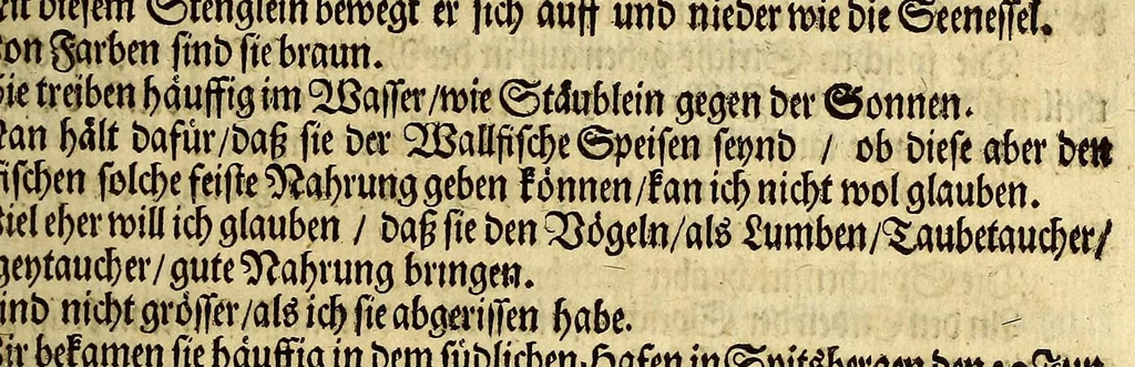 An illustration from Friderich Martens vom Hamburg Spitzbergische oder groenlandische Reise Beschreibung gethan im Jahr 1671. : Aus eigner Erfahrunge beschrieben, die dazu erforderte Figuren nach dem Leben selbst abgerissen, (so hierbey in Kupfferzusehen) und jetzo durch den Druck mitgetheilet, 1675, leaf 141