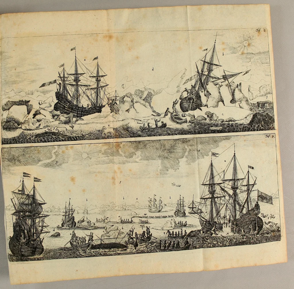 An illustration from Friderich Martens vom Hamburg Spitzbergische oder groenlandische Reise Beschreibung gethan im Jahr 1671. : Aus eigner Erfahrunge beschrieben, die dazu erforderte Figuren nach dem Leben selbst abgerissen, (so hierbey in Kupfferzusehen) und jetzo durch den Druck mitgetheilet, 1675, leaf 147