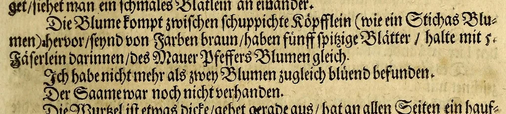 An illustration from Friderich Martens vom Hamburg Spitzbergische oder groenlandische Reise Beschreibung gethan im Jahr 1671. : Aus eigner Erfahrunge beschrieben, die dazu erforderte Figuren nach dem Leben selbst abgerissen, (so hierbey in Kupfferzusehen) und jetzo durch den Druck mitgetheilet, 1675, leaf 55