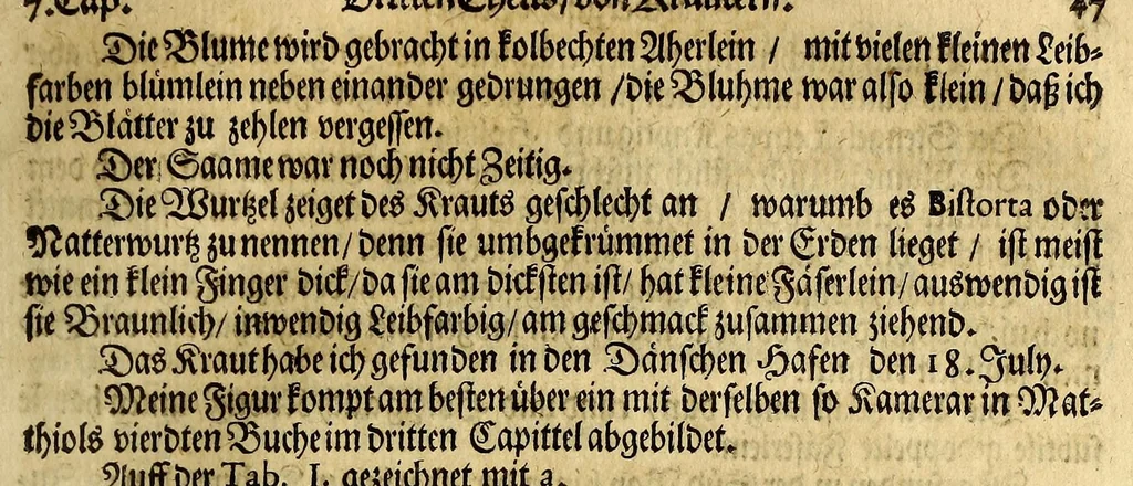 An illustration from Friderich Martens vom Hamburg Spitzbergische oder groenlandische Reise Beschreibung gethan im Jahr 1671. : Aus eigner Erfahrunge beschrieben, die dazu erforderte Figuren nach dem Leben selbst abgerissen, (so hierbey in Kupfferzusehen) und jetzo durch den Druck mitgetheilet, 1675, leaf 59