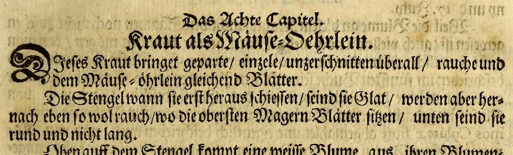An illustration from Friderich Martens vom Hamburg Spitzbergische oder groenlandische Reise Beschreibung gethan im Jahr 1671. : Aus eigner Erfahrunge beschrieben, die dazu erforderte Figuren nach dem Leben selbst abgerissen, (so hierbey in Kupfferzusehen) und jetzo durch den Druck mitgetheilet, 1675, leaf 59