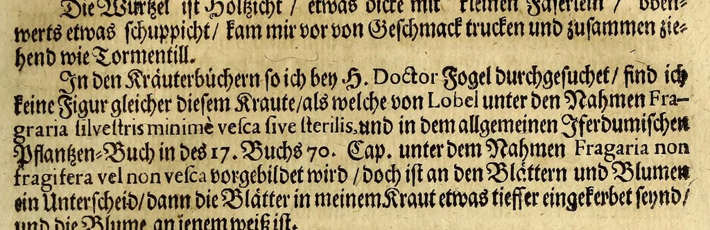 An illustration from Friderich Martens vom Hamburg Spitzbergische oder groenlandische Reise Beschreibung gethan im Jahr 1671. : Aus eigner Erfahrunge beschrieben, die dazu erforderte Figuren nach dem Leben selbst abgerissen, (so hierbey in Kupfferzusehen) und jetzo durch den Druck mitgetheilet, 1675, leaf 61