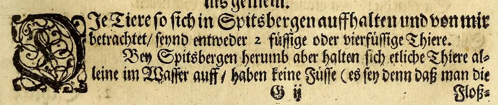 An illustration from Friderich Martens vom Hamburg Spitzbergische oder groenlandische Reise Beschreibung gethan im Jahr 1671. : Aus eigner Erfahrunge beschrieben, die dazu erforderte Figuren nach dem Leben selbst abgerissen, (so hierbey in Kupfferzusehen) und jetzo durch den Druck mitgetheilet, 1675, leaf 63