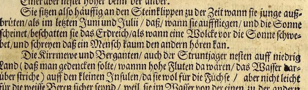 An illustration from Friderich Martens vom Hamburg Spitzbergische oder groenlandische Reise Beschreibung gethan im Jahr 1671. : Aus eigner Erfahrunge beschrieben, die dazu erforderte Figuren nach dem Leben selbst abgerissen, (so hierbey in Kupfferzusehen) und jetzo durch den Druck mitgetheilet, 1675, leaf 67