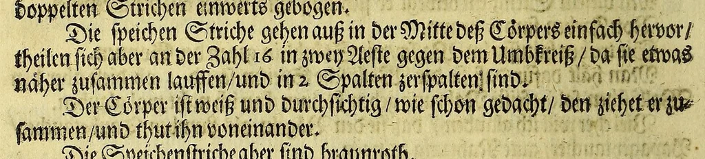 An illustration from Friderich Martens vom Hamburg Spitzbergische oder groenlandische Reise Beschreibung gethan im Jahr 1671. : Aus eigner Erfahrunge beschrieben, die dazu erforderte Figuren nach dem Leben selbst abgerissen, (so hierbey in Kupfferzusehen) und jetzo durch den Druck mitgetheilet, 1675, leaf 144