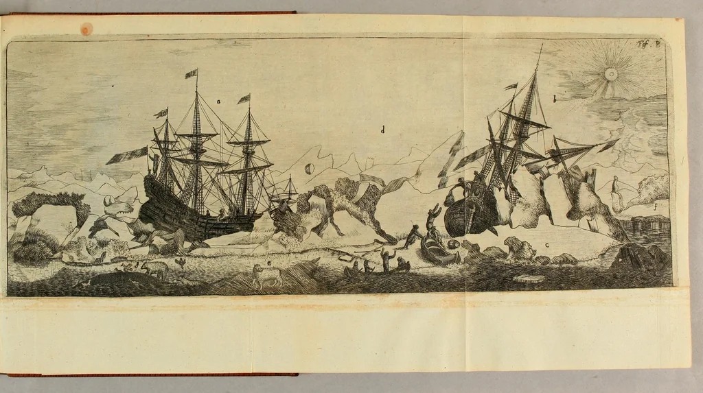 An illustration from Friderich Martens vom Hamburg Spitzbergische oder groenlandische Reise Beschreibung gethan im Jahr 1671. : Aus eigner Erfahrunge beschrieben, die dazu erforderte Figuren nach dem Leben selbst abgerissen, (so hierbey in Kupfferzusehen) und jetzo durch den Druck mitgetheilet, 1675, leaf 153