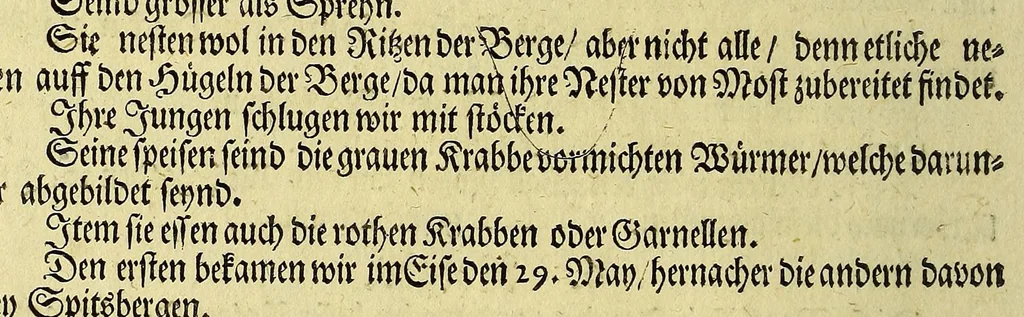 An illustration from Friderich Martens vom Hamburg Spitzbergische oder groenlandische Reise Beschreibung gethan im Jahr 1671. : Aus eigner Erfahrunge beschrieben, die dazu erforderte Figuren nach dem Leben selbst abgerissen, (so hierbey in Kupfferzusehen) und jetzo durch den Druck mitgetheilet, 1675, leaf 76