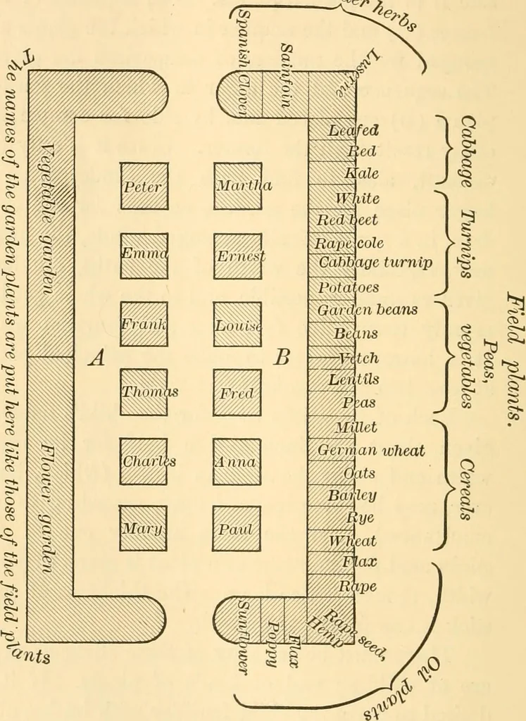 An illustration from Friedrich Froebel's Education by development, 1899, leaf 256
