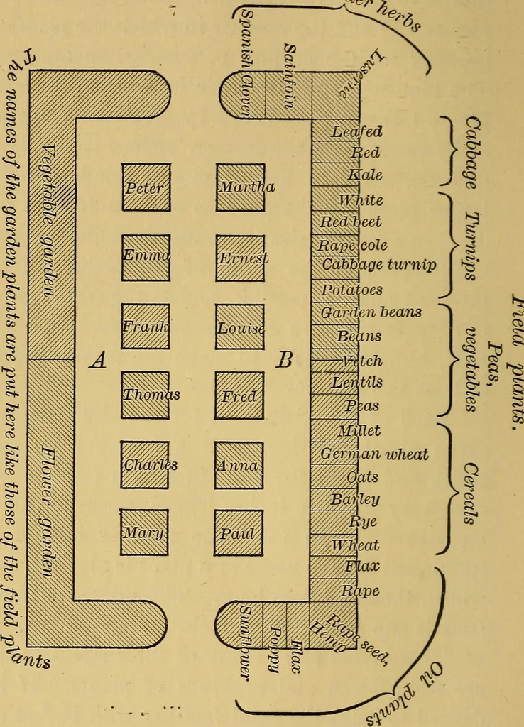 An illustration from Friedrich Froebel's Education by development, 1902, leaf 258