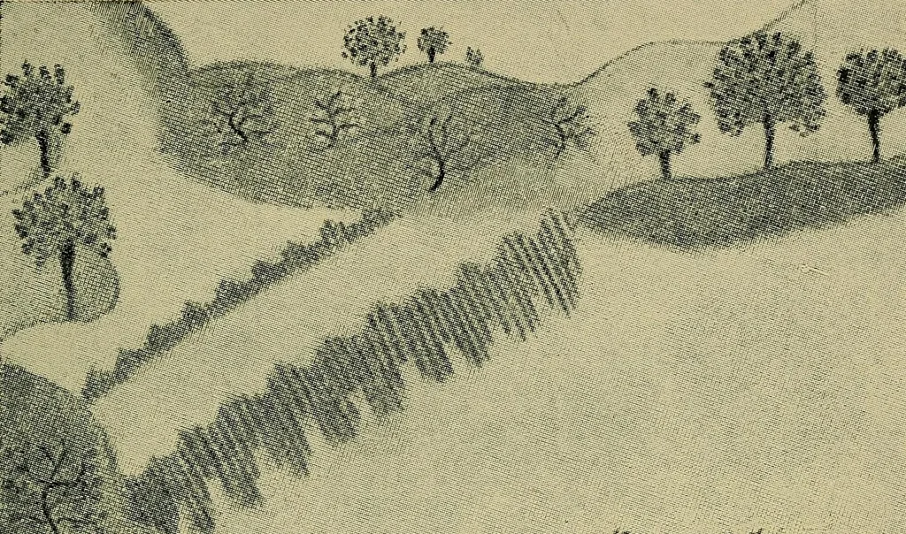 An illustration from From India to the planet Mars : a study of a case of somnambulism with glossolalia, 1900, leaf 195