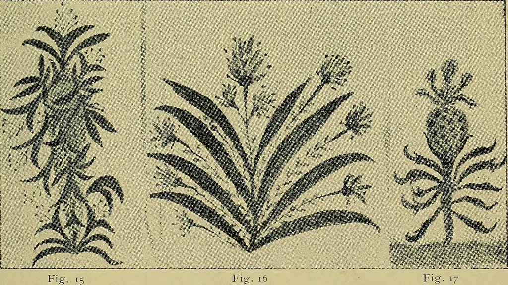 An illustration from From India to the planet Mars : a study of a case of somnambulism with glossolalia, 1900, leaf 195