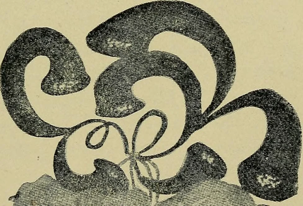 An illustration from From India to the planet Mars : a study of a case of somnambulism with glossolalia, 1900, leaf 217