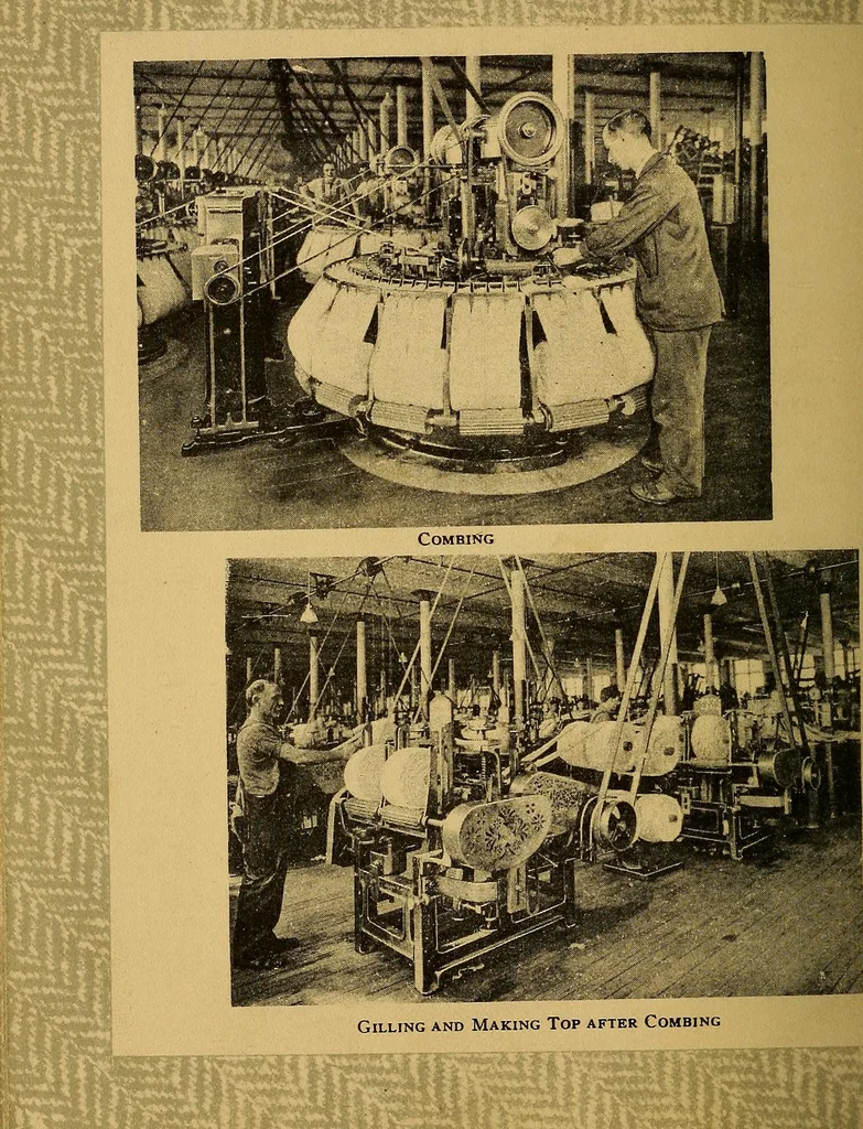 An illustration from From wool to cloth, 1911, leaf 19