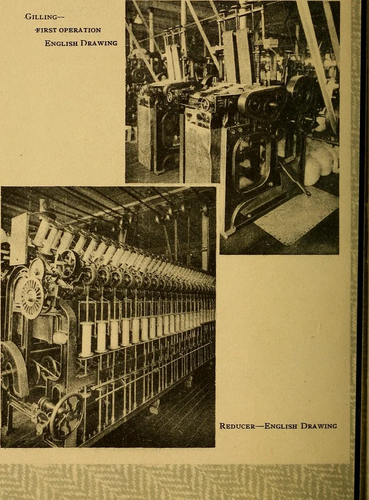An illustration from From wool to cloth, 1911, leaf 21