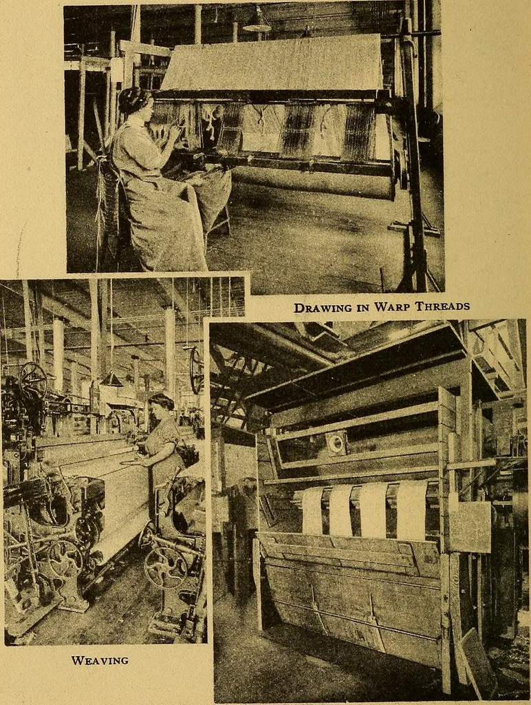 An illustration from From wool to cloth, 1911, leaf 27