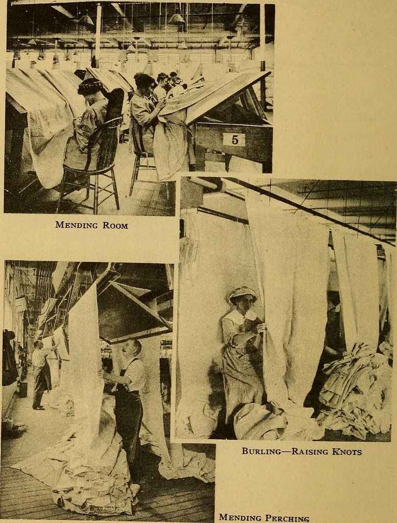 An illustration from From wool to cloth, 1911, leaf 29