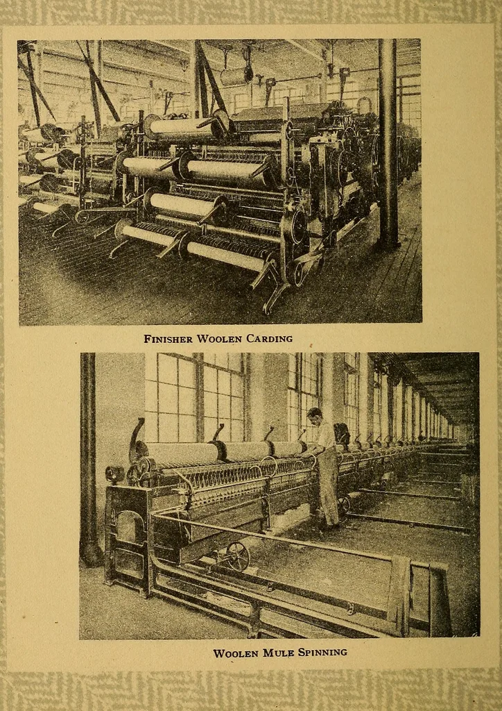 An illustration from From wool to cloth, 1911, leaf 35