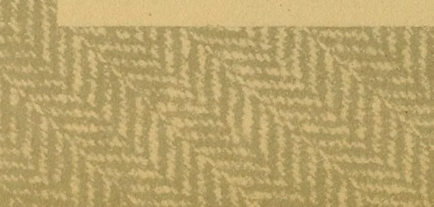 An illustration from From wool to cloth, 1911, leaf 39